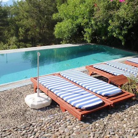 In Bb - Double Natural Conservation Area, Boutique With Pool Pensiune Bogazagzi